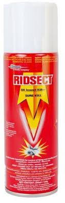 Ridsect All Insect Killer 200ml
